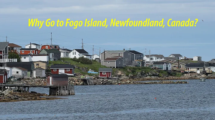 Why Stay on Fogo Island, Newfoundland? Episode 3