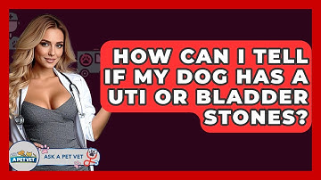 How Can I Tell If My Dog Has A UTI Or Bladder Stones? - Ask A Pet Vet