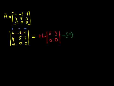 Vidéo: Comment Calculer Le Déterminant D'une Matrice