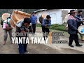 Costumbre de Yanta Takay 2019, Ccaccasiri, Acoria, Huancavelica