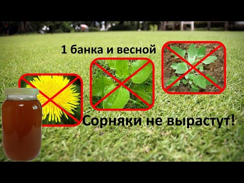 Отличное Средство от сорняков! Весной сорняки НЕ вырастут! Простое средство своими руками