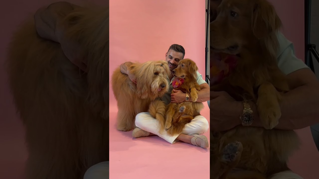 🐾 Looking Back at 2024&mdash;What Was Your Pup&rsquo;s Best Moment? 💖 #FloofyAdventures