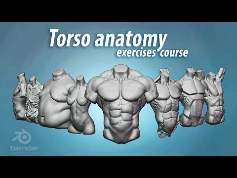 Torso anatomy sculpting exercises course promo video