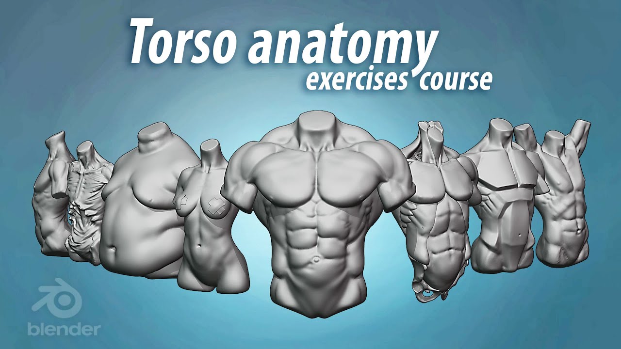 Рекламный ролик курса упражнений по анатомической скульптуре торса