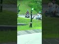 Racing Through Epic Curves at Skyline Luge Malaysia! 🏎️🔥 #ytshorts #shorts #simplyshetty