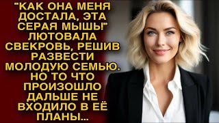 Достала эта серая мышь     Свекровь хотела развести семью, но то что произошло дальше...