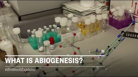 Birkbeck Explains: What is Abiogenesis?