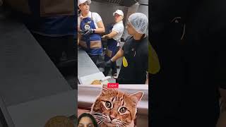 Bro left mood cat #cat #memes #reaction #funny video