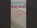 【建売住宅】欠陥住宅とまでは言わないけれど・・・大手グループの新築一戸建は傷が多い