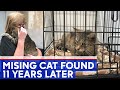 Cat missing for 11 years reunited with owner