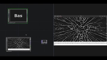 Slimemold (Physarum) GLSL simulation in TouchDesigner