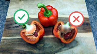 Never buy a moldy pepper again!! How to choose a nice pepper at the grocery store by Food Chain TV 1,613 views 10 months ago 2 minutes, 9 seconds