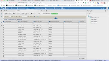 Use SSRS Report as Datasource for Query Builder