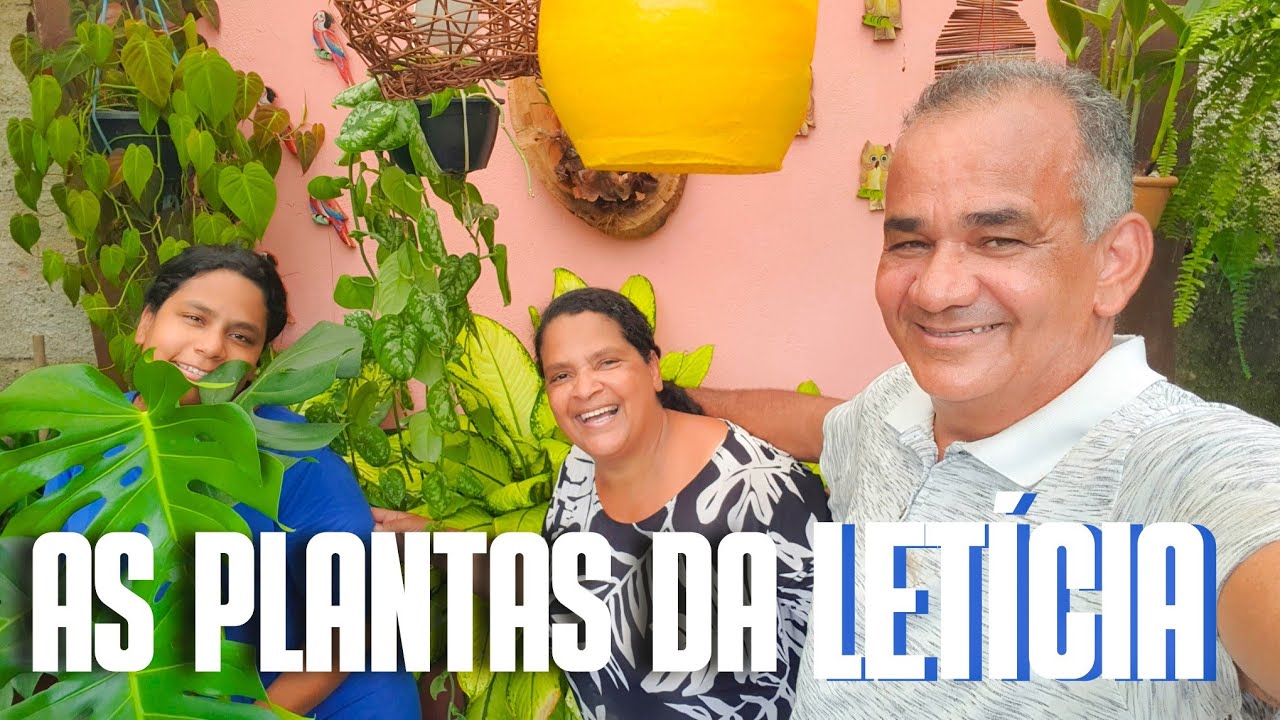 TOUR PELAS PLANTAS QUE IREI DOAR PARA A CASA NOVA DA LETÍCIA | DICAS DE COMO CULTIVAR | FOLHAGENS