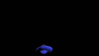 anim8or short ufo movie