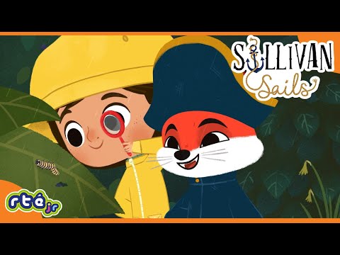 🌧️🌱 RAIN Won't Stop Sullivan's Garden Adventure! 🌧️🌱 | Sullivan Sails |​ @RTÉKIDSjr​