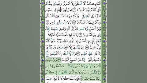 41 سورة فصلت - الشيخ عبد الله بصفر