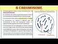 B chromosomes
