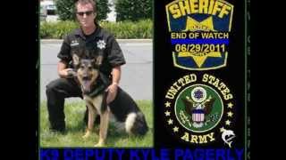Medal Of Honor For Valor Recipient Dep K9 Jynx Pagerly 2012 AHA Hero Dog Finalist