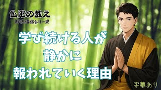 悩みに効く仏陀の声【学び続ける人が、静かに報われていく理由】