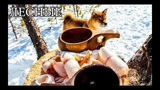 Дикая кухня - СТРОГАНИНА ИЗ РЫБЫ | BUSHCRAFT COOKING - FROZEN FISH Дикая кухня - СТРОГАНИНА ИЗ РЫБЫ | BUSHCRAFT COOKING - FROZEN FISH