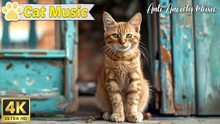 Lullaby for kittens 24 hours 🐱 Gentle music for anxious and stressed cats! by Music For Cats 844 views 4 weeks ago 23 hours