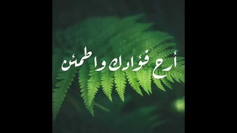 آية الكرسي القارئ عبدالله الموسى