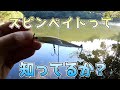 【スピンベイト】KVDのシークレットルアーよ【シンキングスイッシャー】