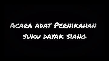 Suku dayak siang acara adat pernikahan diiringi seni budaya sialat/kuntau tari giring2 & manasai