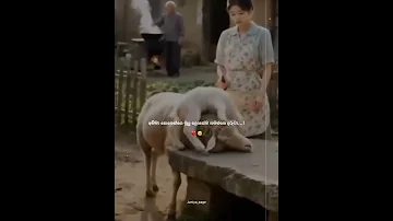 ياااربي 