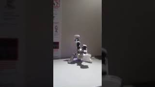 робот танцор