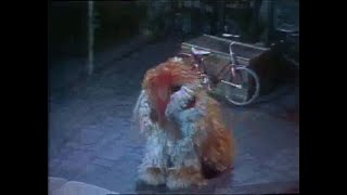 Classic Sesame Street: Giant Steps / Barkley Turns in for the Night (1979)
