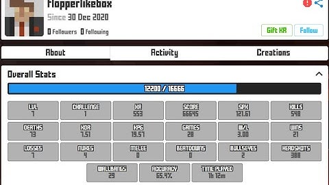 Krunker Hacker Report ign: flopperlikebox