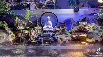 Hồ bán cạn đẹp và độc đáo phong cách Kelsey