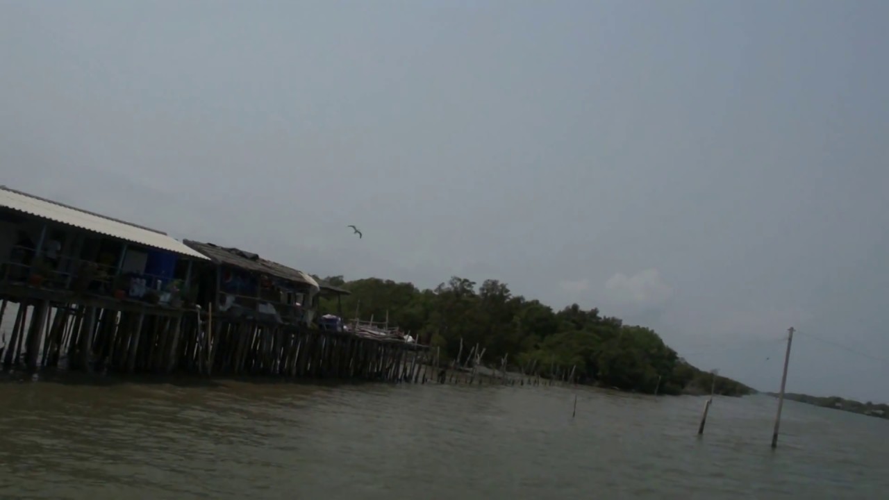 Walking up from the Boat to the Sea View Restaurant, Bangkok Thailand | bangkok seaview restaurantเนื้อหาที่เกี่ยวข้องที่แม่นยำที่สุด