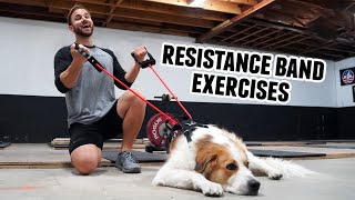 30 Resistance Bands Exercises - At Home Workout