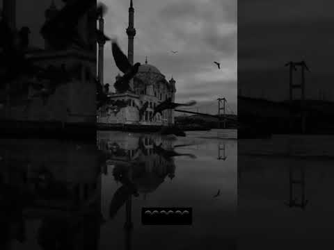 وبينا معاد عمرو دياب