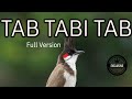 Tab Tabi Tab Viral Nasheed AI Covers Studio English Lyrics Tab Tabi Tab Viral Nasheed AI Covers Studio English Lyrics