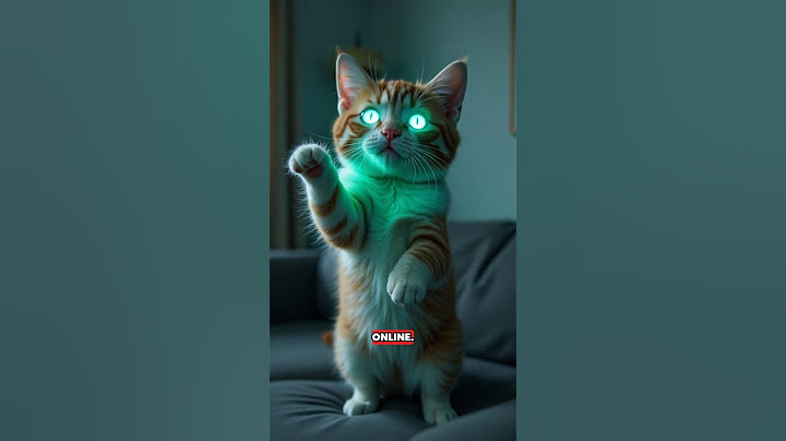 "My Cat Turned Into an AI.. Now He’s Smarter Than Me!"#AICat#FunnyCat#SmartCat#viralvideo #CatVideos