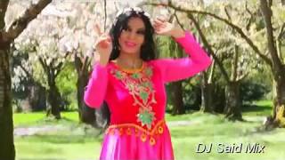 Puzzle Band Ft Hamid Hiraad   Delaram DJ Said Mix