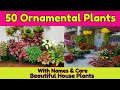 50 Best ornamental plants for your garden/ Common House plant's with names & Prices