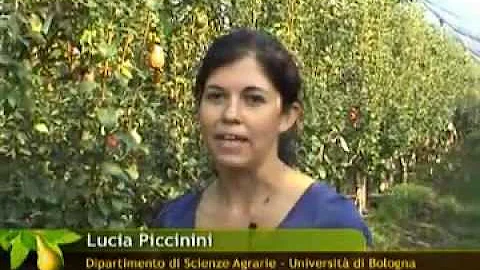 Quando si maturano i frutti?