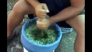 How To Make Bubble Bag Hash Part 3 of 8