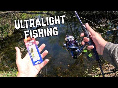 Does The $3 Rooster Tail STILL Catch Everything?