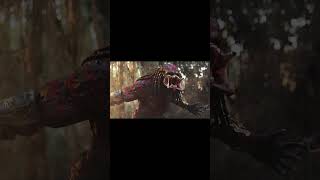 Predator Co Čekat Od Nových Predátorských Příběhů?