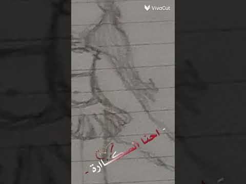 ٥ سبتمبر ٢٠٢٤