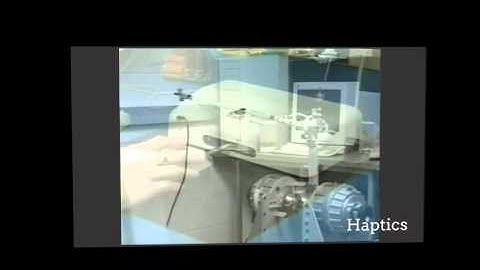 David Wang- University of Waterloo- Selected Research Videos