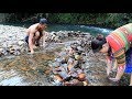 Primitive life: Chasing catch fish by hand in the river and grilled fish - Eating delicious