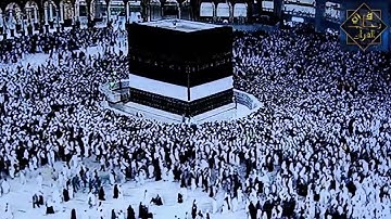 أيات بينات من سورة البقرة بصوت القارئ إسلام الجزائري