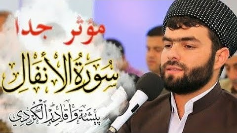 سورة الأنفال بصوت القارئ قادر الكردي بجودة عالية